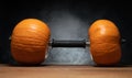 Gym dumbbell barbell with two orange pumpkins as a weight plates. Royalty Free Stock Photo