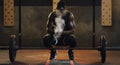 Weightlifting, powder and black man with barbell in gym for training, exercise and serious workout. Sports, strong