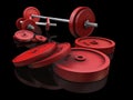 Weightlifting weights