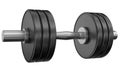 Weightlifting weights