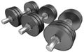 Weightlifting weights