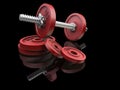 Weights