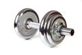 Weights (dumbbell)isolated Royalty Free Stock Photo