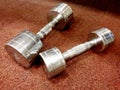 Weights dumbbells.Two dumbbells on the flor. Royalty Free Stock Photo