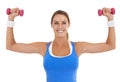 Weights, fitness and portrait of woman in a studio for arm strength workout, training or exercise. Smile, sports and