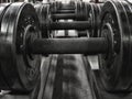 Weights in a fitness studio, hdr Royalty Free Stock Photo