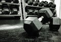 Weights on the Gym Floor