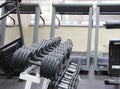 Weights rack Royalty Free Stock Photo