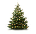 Weihnachtsbaum Royalty Free Stock Photo