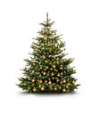 Weihnachtsbaum Royalty Free Stock Photo