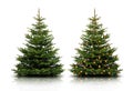 Weihnachtsbaum Royalty Free Stock Photo