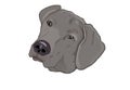 Weimaraner Head