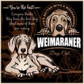 Weimaraner - vector set for t-shirt, logo and template badges on dark background
