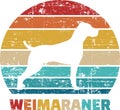 Weimaraner vintage retro