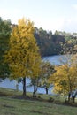 Weinfelder Maar in autumn colors, forest side