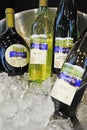 Weingarten silvaner and riesling Royalty Free Stock Photo