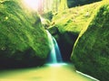 Weir in mountain stream. Colorful leaves on stones into water. Mossy boulders.