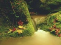 Weir in mountain stream. Colorful leaves on stones into water. Mossy boulders.