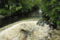 Weir on River Fergus Royalty Free Stock Photo