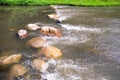 Weir Rock for the passage of streams in the river