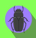 Weird Creepy Beetle Insect