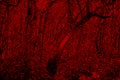 Red Weird Forest 3d abstract design Royalty Free Stock Photo