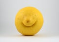 Weird funny smiling lemon Royalty Free Stock Photo