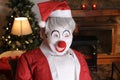 Weird looking clown dressed as Santa Claus for Christmas time Royalty Free Stock Photo