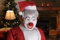 Weird looking clown dressed as Santa Claus for Christmas time Royalty Free Stock Photo