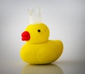 Weird yellow duck princess with crown Royalty Free Stock Photo