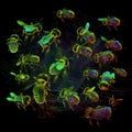 Weirdcore bumble bee design. Created using ai generative.