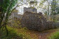 Weissenau Castle Ruins at Unterseen - Interlaken, Switzerland Royalty Free Stock Photo