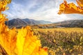 Weissenkirchen village with autumn vineyards in Wachau valley, Austria Royalty Free Stock Photo