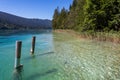 Weissensee - Wooden poles with scenic view of alpine landscape at east bank of lake Weissensee, Carinthia