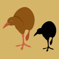 Weka bird vector illustration flat style silhouette