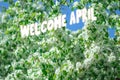 Welcome april, Sun shining through the trees. The beginning of the spring season. Blooming apple trees. Selective focus