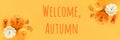 Welcome Autumn text and fall composition made from pattison, squash, pumpkin and yellow leaves herbarium on orange