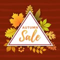 Autumn Sale with Triangle Template Design