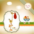 Welcome baby card with stork