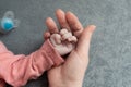 Welcome baby,Mother holding her newborn baby by little hand Royalty Free Stock Photo