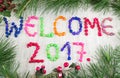 Welcome 2017 background with pine tree