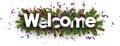 Welcome banner with colorful serpentine.