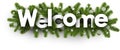 Welcome banner with spruce branches.