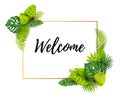 Welcome card with exotic leaves and golden frame Royalty Free Stock Photo