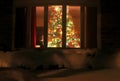 Welcome home Christmas tree Royalty Free Stock Photo