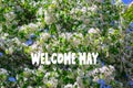 Welcome may, Sun shining through the trees. The beginning of the spring season. Blooming apple trees Royalty Free Stock Photo