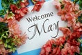 Welcome May text with Pink Flower frame on blue background