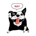 Welcome message hello happy dog object French bulldog greeting card .