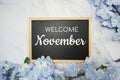 Welcome November text on wooden blackboard and flower decoration on marble background