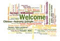 Welcome phrase words cloud concept